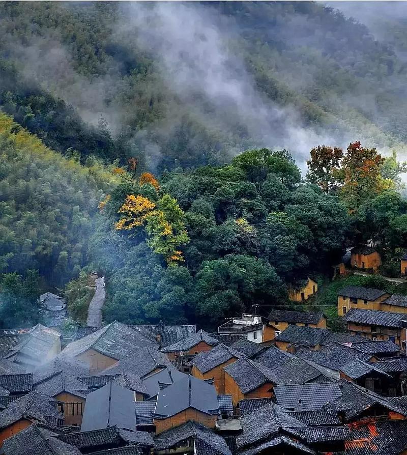 发现惊人冷知识 - 杨梅树肥料十二月了还可以施肥吗? 冷知识分享平台